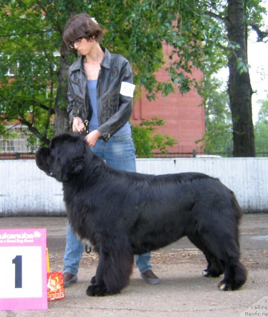 Фотография № 69043