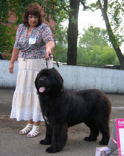 Фотография № 69047