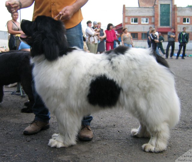 Фотография № 69049