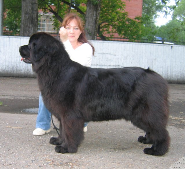 Фотография № 69051