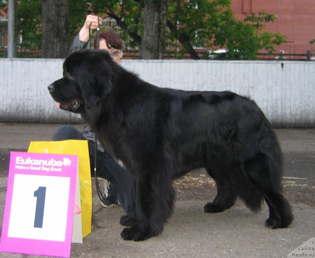 Фотография № 69053