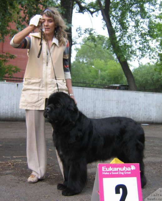 Фотография № 69055