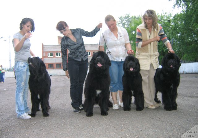 Фотография № 69059