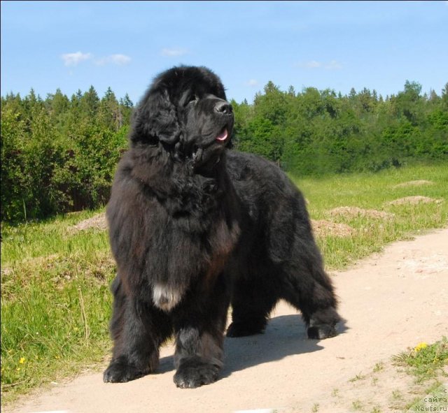 Фотография № 69076