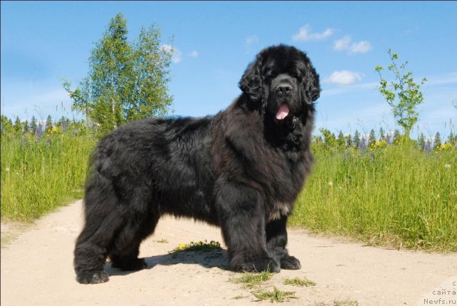 Фотография № 69077