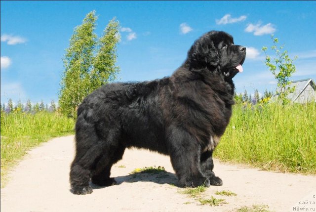 Фотография № 69084