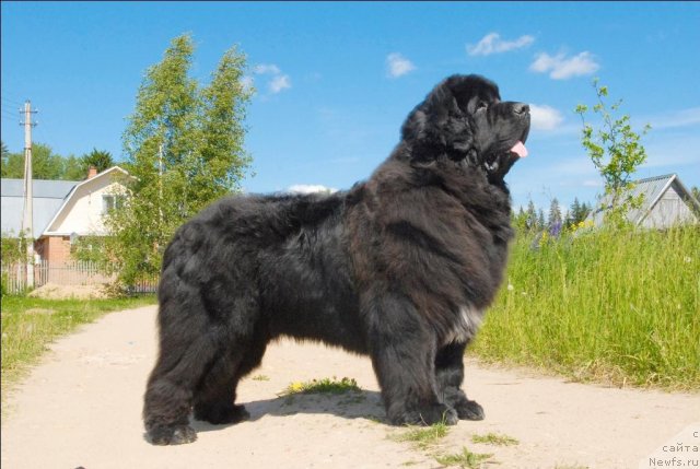 Фотография № 69086