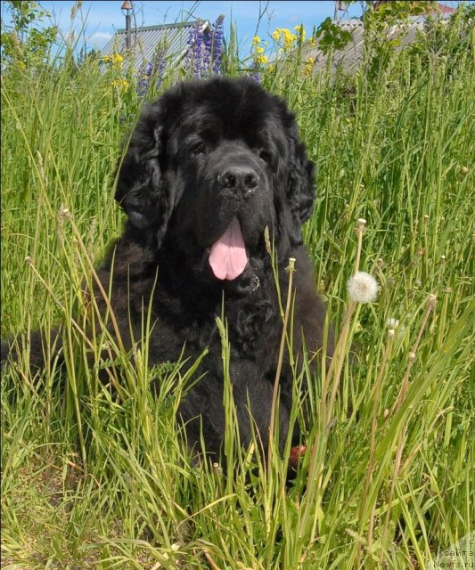 Фотография № 69088