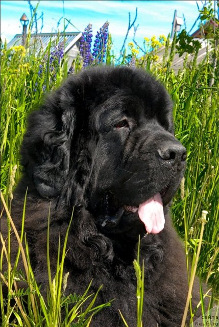 Фотография № 69089