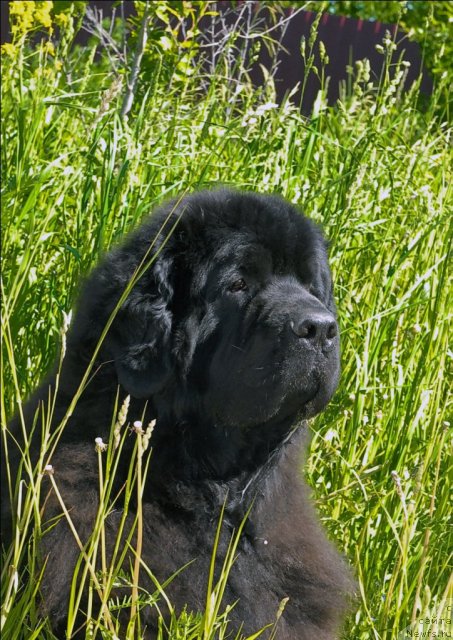 Фотография № 69090