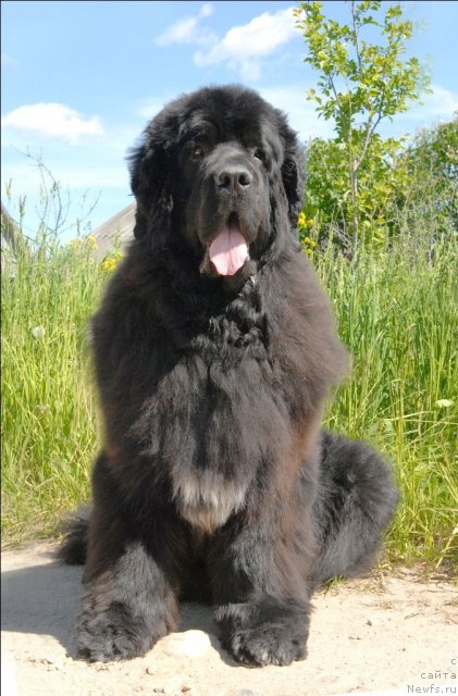 Фотография № 69091