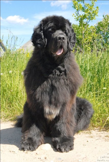 Фотография № 69092