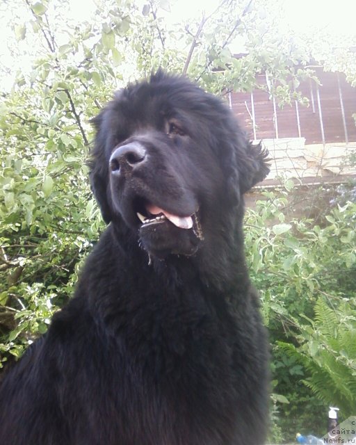 Фотография № 69098