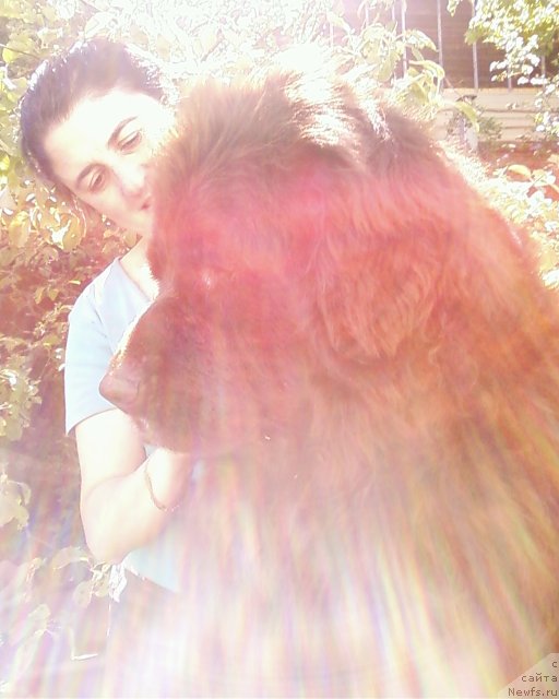 Фотография № 69100