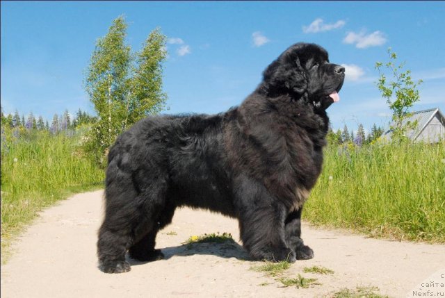 Фотография № 69102