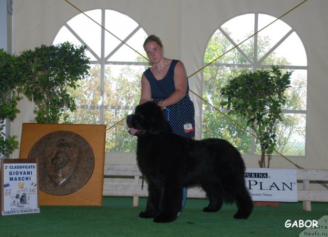 Фотография № 69122