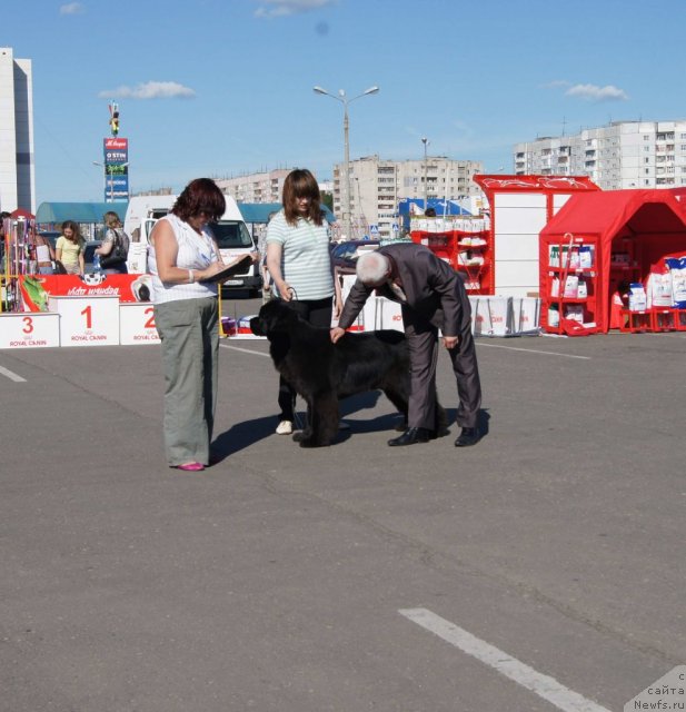 Фотография № 69124