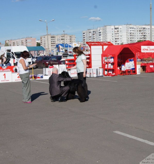 Фотография № 69126