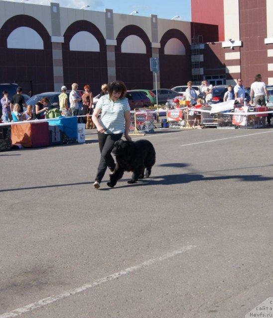 Фотография № 69127