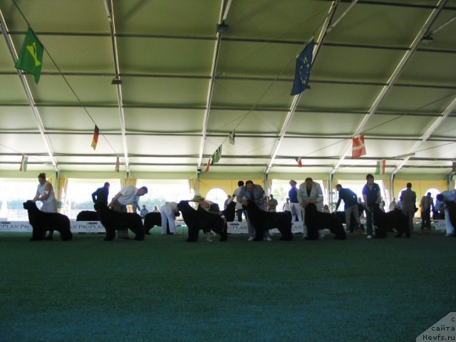 Фотография № 69128