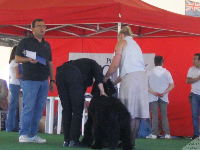 Фотография № 69129