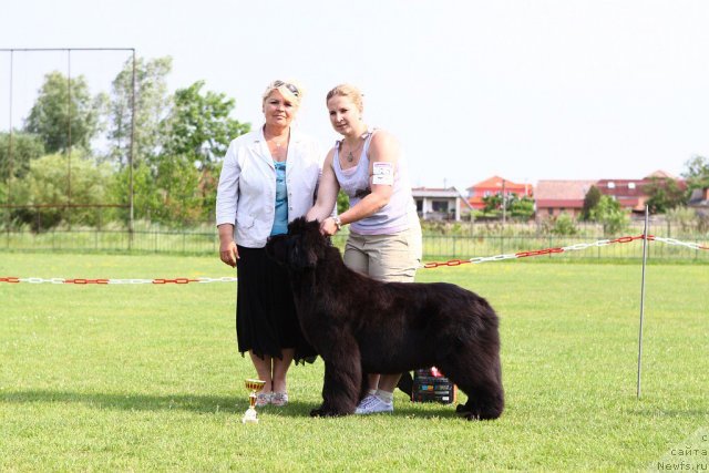 Фотография № 69133