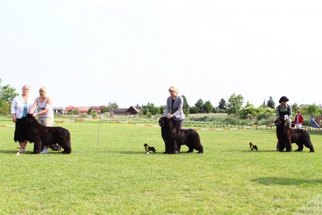 Фотография № 69134