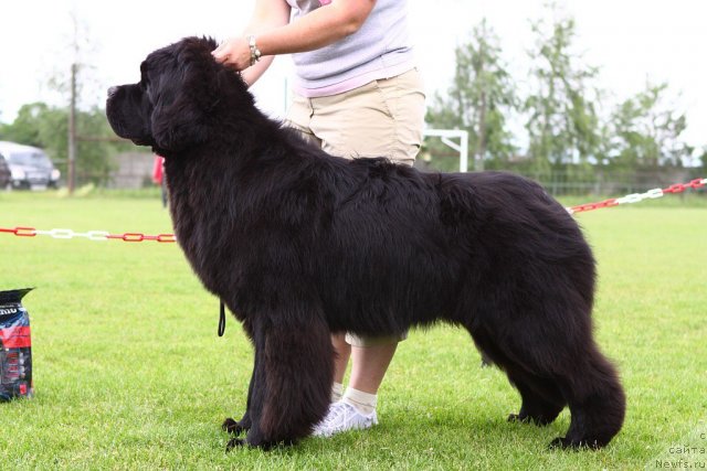 Фотография № 69135