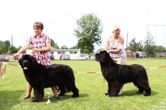 Фотография № 69136