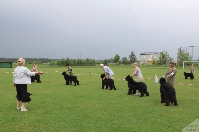 Фотография № 69137