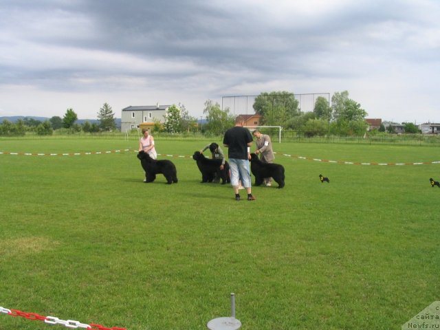 Фотография № 69139