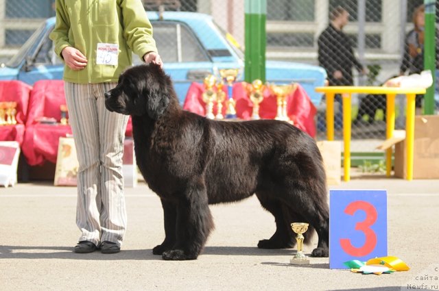 Фотография № 69143