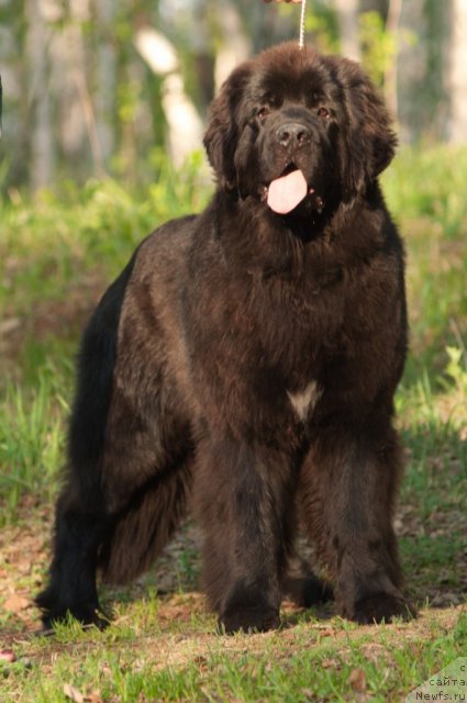 Фотография № 69154