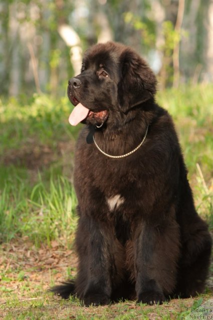 Фотография № 69155