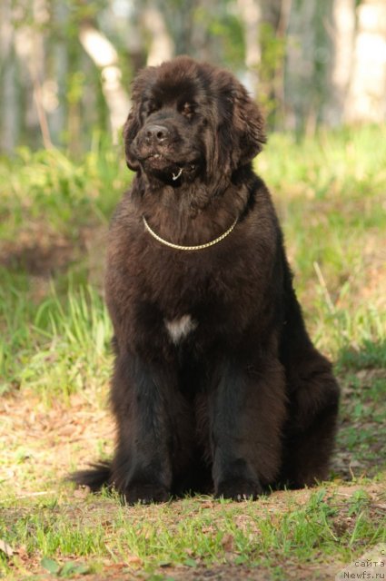 Фотография № 69156