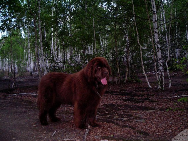 Фотография № 69157