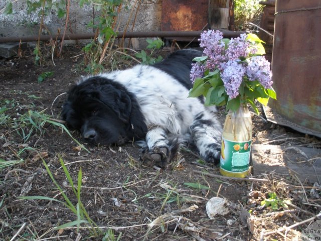 Фотография № 69210