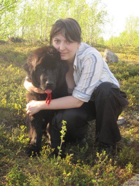 Фотография № 69212