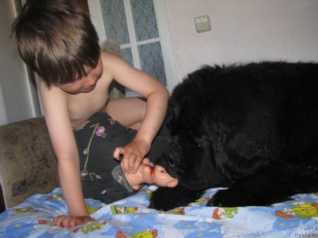 Фото: [d10578] и Слава