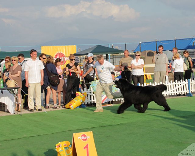 Фотография № 69227