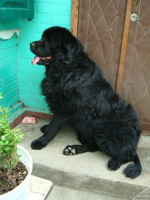 Фотография № 69270