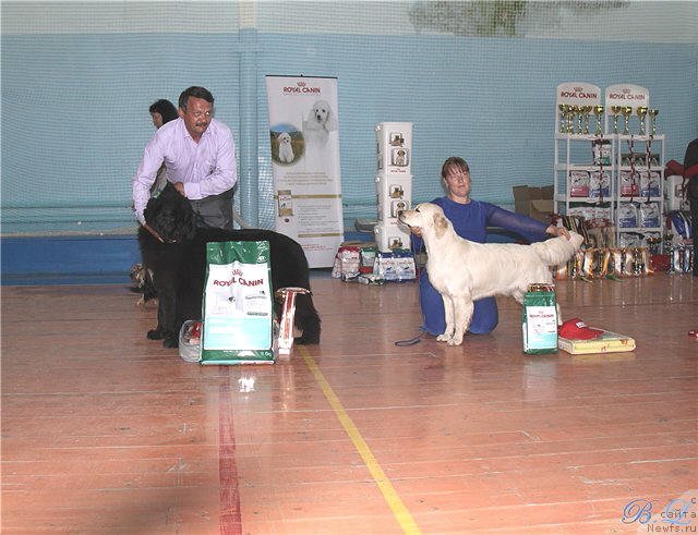 Фотография № 69288