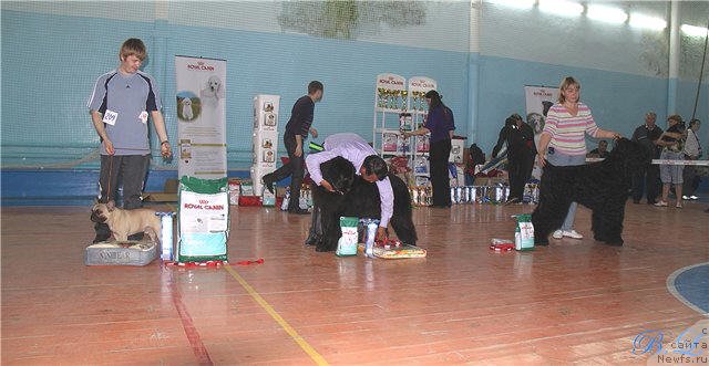 Фотография № 69289