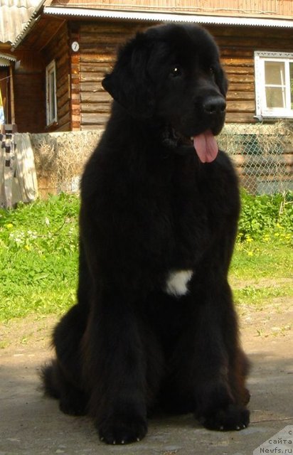 Фотография № 69307