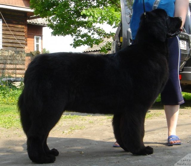 Фотография № 69308