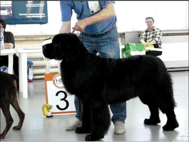 Фотография № 69312