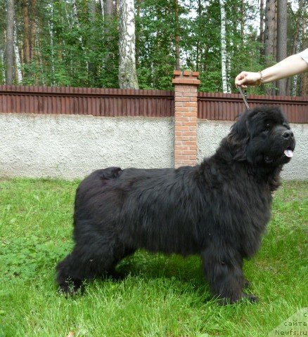 Фотография № 69322