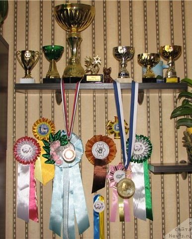 Фотография № 69329