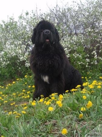 Фотография № 69335