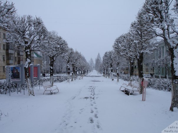 Фотография № 69354